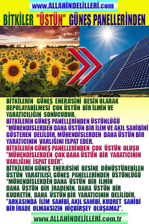 bitkinin yaratılışı solar panelden üstündür