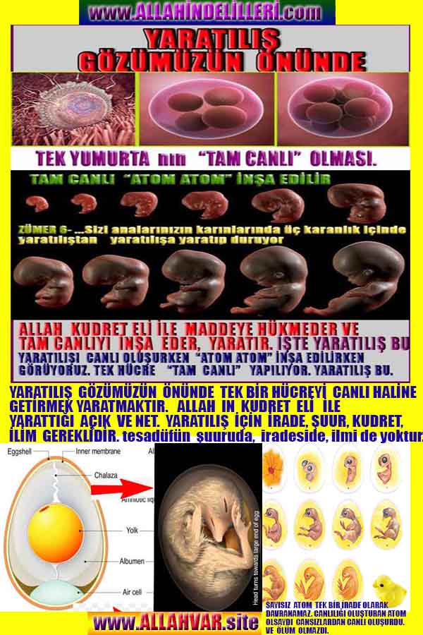 Allahın Varlığının Delilleri, Allahın Delilleri, Tanrının ispatı, Tanrının kanıtları, Allahın ispatı, Allahin delilleri