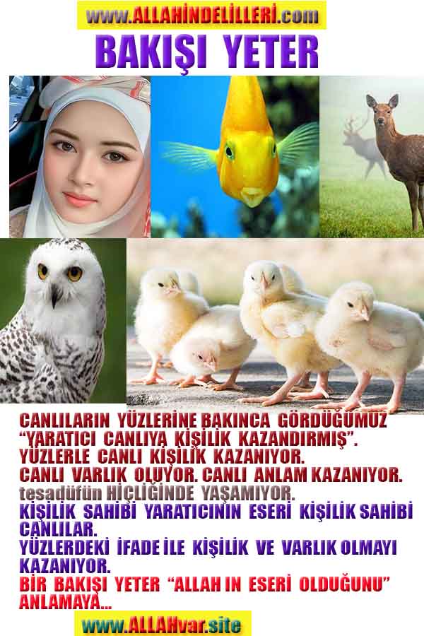 Allahın Varlığının Delilleri, Allahın Delilleri, Tanrının ispatı, Tanrının kanıtları, Allahın ispatı, Allahin delilleri