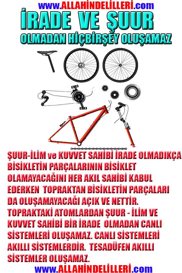 Allahın Varlığının Delilleri, Allahın Delilleri, Tanrının ispatı, Tanrının kanıtları, Allahın ispatı, Allahin delilleri