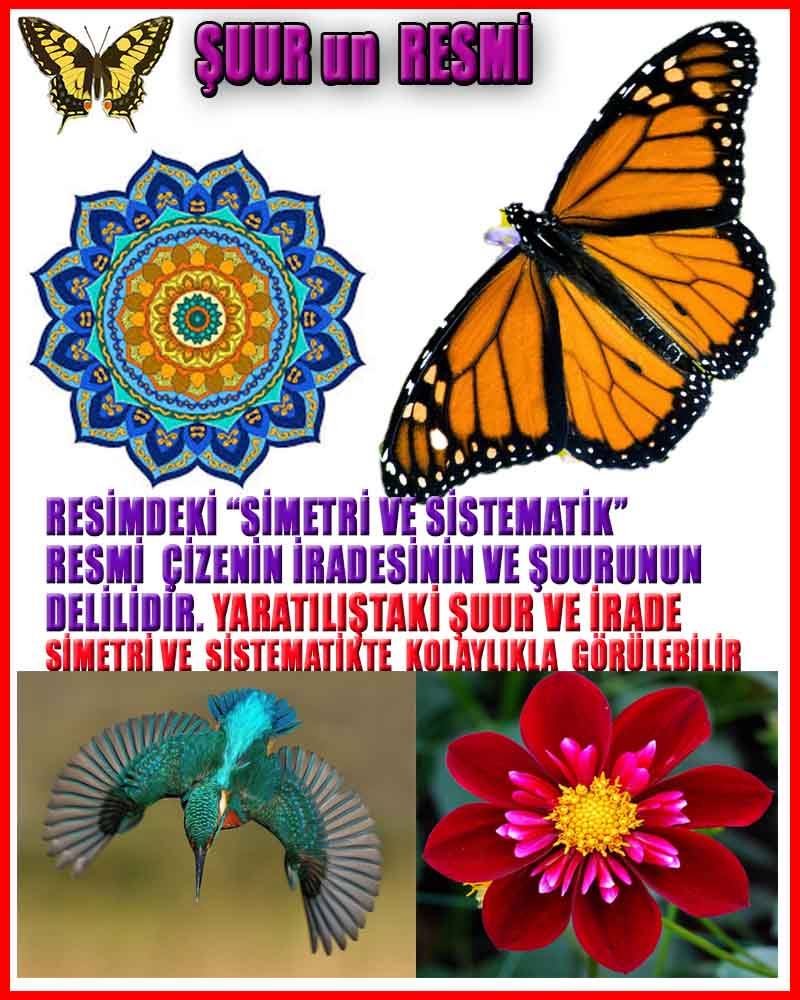 Allahın Varlığının Delilleri, Allahın Delilleri, Tanrının ispatı, Tanrının kanıtları, Allahın ispatı, Allahin delilleri