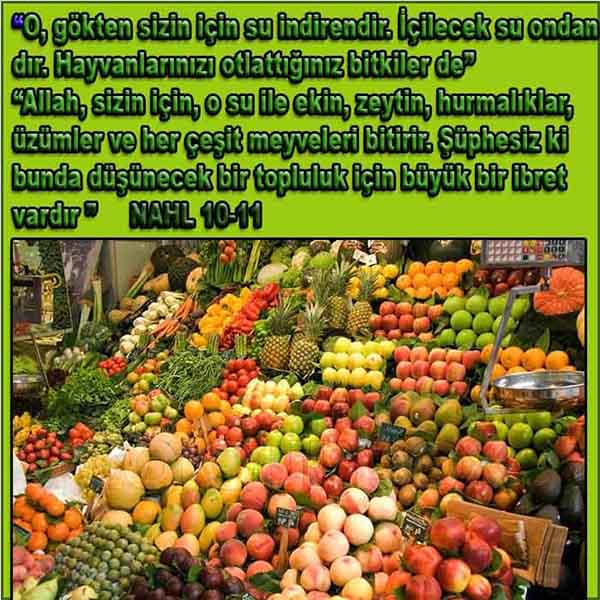 Allahın Varlığının Delilleri, Allahın Delilleri, Tanrının ispatı, Tanrının kanıtları, Allahın ispatı, Allahin delilleri