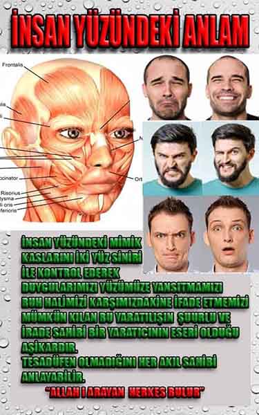 Allahın Varlığının Delilleri, Allahın Delilleri, Tanrının ispatı, Tanrının kanıtları, Allahın ispatı, Allahin delilleri