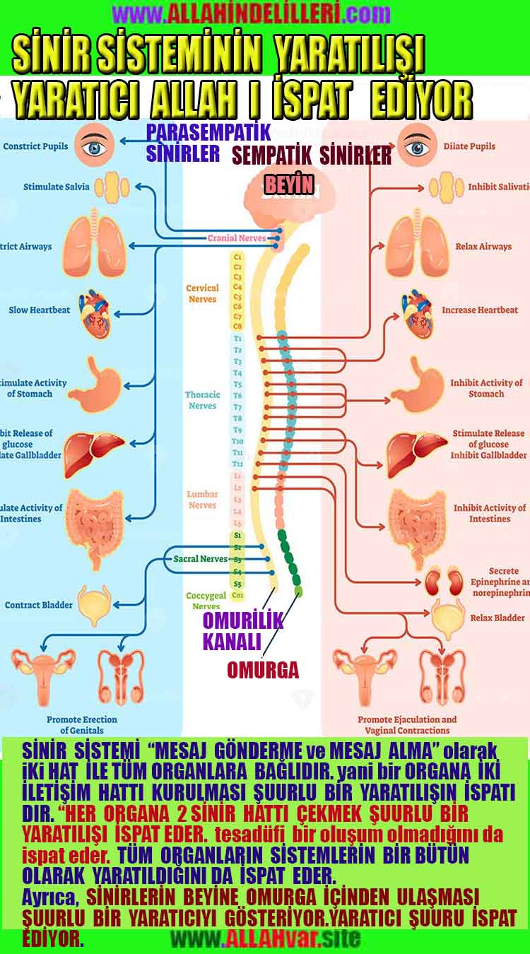 Allahın Varlığının Delilleri, Allahın Delilleri, Tanrının ispatı, Tanrının kanıtları, Allahın ispatı, Allahin delilleri