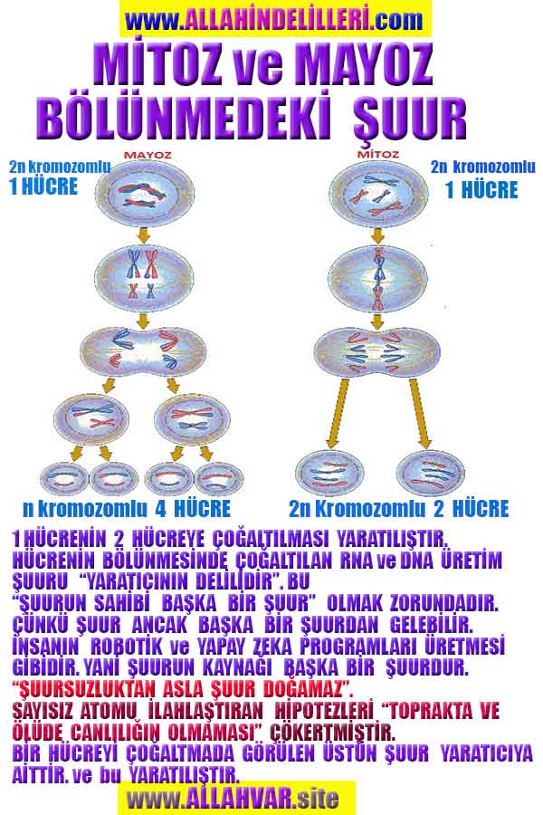 Allahın Varlığının Delilleri, Allahın Delilleri, Tanrının ispatı, Tanrının kanıtları, Allahın ispatı, Allahin delilleri