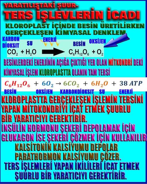 Allahın Varlığının Delilleri, Allahın Delilleri, Tanrının ispatı, Tanrının kanıtları, Allahın ispatı, Allahin delilleri