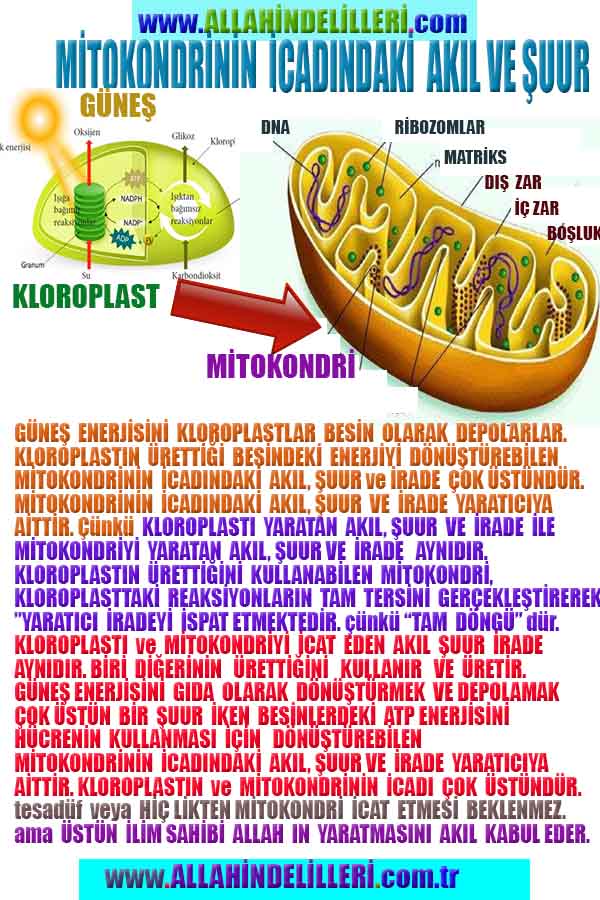 Allahın Varlığının Delilleri, Allahın Delilleri, Tanrının ispatı, Tanrının kanıtları, Allahın ispatı, Allahin delilleri