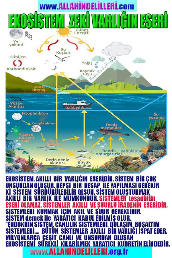 Allahın Varlığının Delilleri, Allahın Delilleri, Tanrının ispatı, Tanrının kanıtları, Allahın ispatı, Allahin delilleri