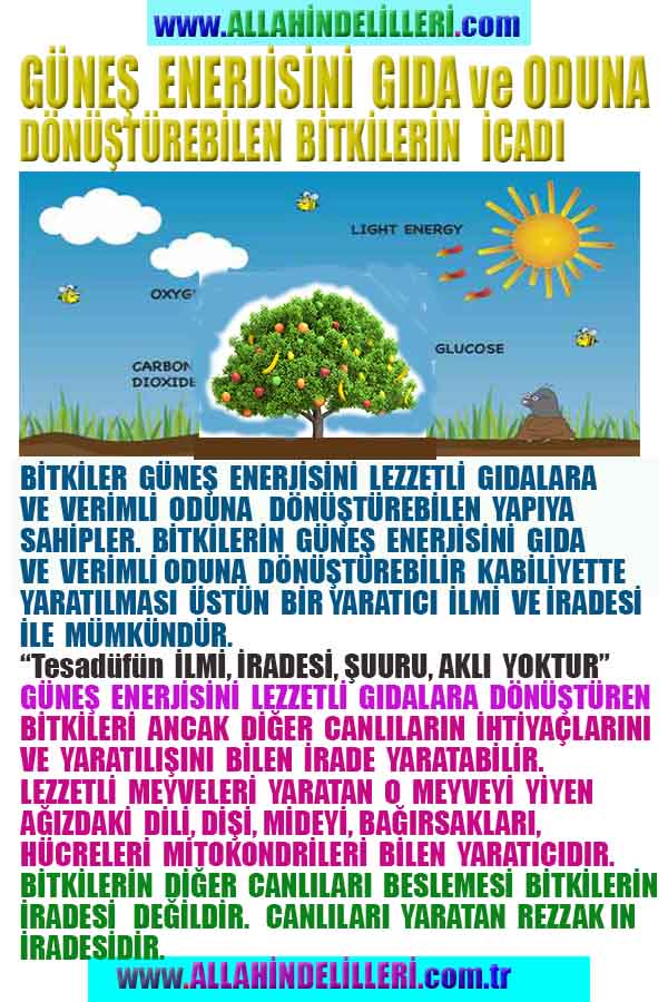 Allahın Varlığının Delilleri, Allahın Delilleri, Tanrının ispatı, Tanrının kanıtları, Allahın ispatı, Allahin delilleri