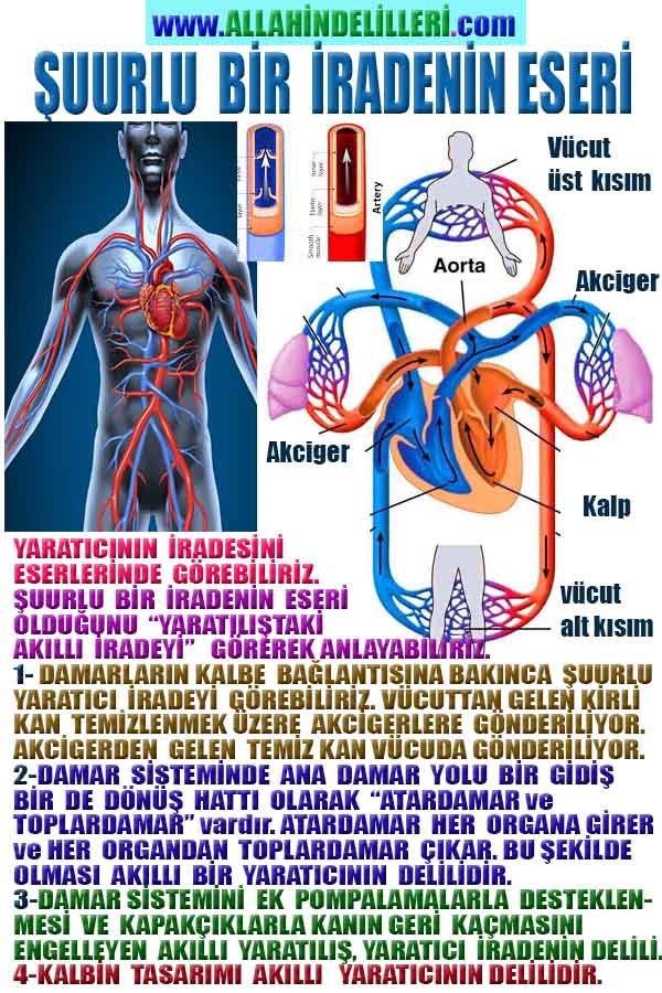 Allahın Varlığının Delilleri, Allahın Delilleri, Tanrının ispatı, Tanrının kanıtları, Allahın ispatı, Allahin delilleri