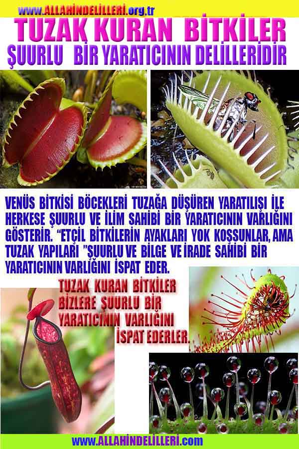 Allahın Varlığının Delilleri, Allahın Delilleri, Tanrının ispatı, Tanrının kanıtları, Allahın ispatı, Allahin delilleri