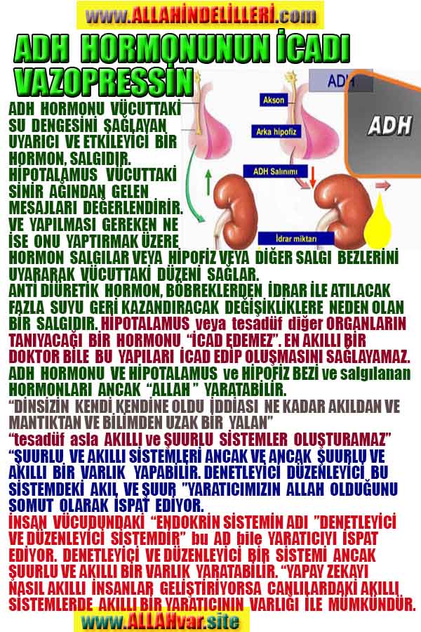 Allahın Varlığının Delilleri, Allahın Delilleri, Tanrının ispatı, Tanrının kanıtları, Allahın ispatı, Allahin delilleri