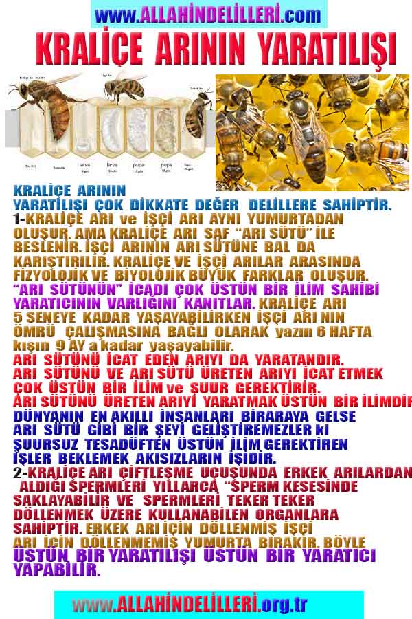 Allahın Varlığının Delilleri, Allahın Delilleri, Tanrının ispatı, Tanrının kanıtları, Allahın ispatı, Allahin delilleri