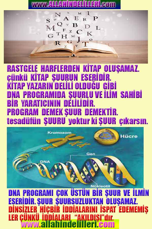 Allahın Varlığının Delilleri, Allahın Delilleri, Tanrının ispatı, Tanrının kanıtları, Allahın ispatı, Allahin delilleri