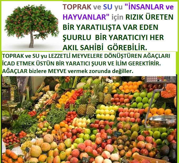 Allahın Varlığının Delilleri, Allahın Delilleri, Tanrının ispatı, Tanrının kanıtları, Allahın ispatı, Allahin delilleri