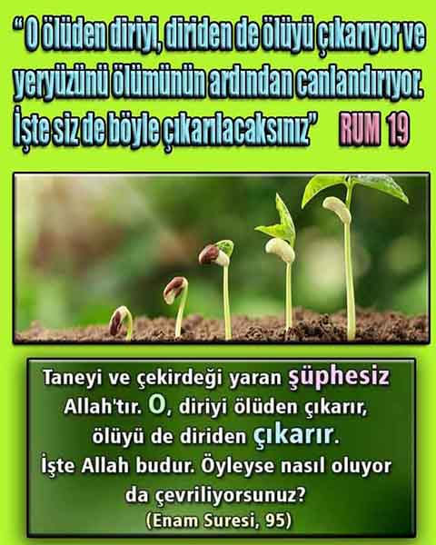 Allahın Varlığının Delilleri, Allahın Delilleri, Tanrının ispatı, Tanrının kanıtları, Allahın ispatı, Allahin delilleri