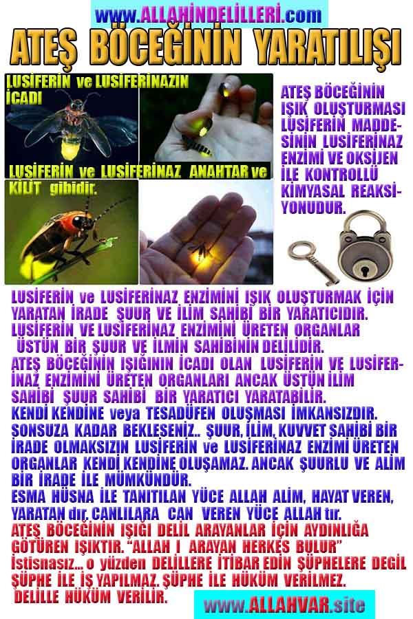 Allahın Varlığının Delilleri, Allahın Delilleri, Tanrının ispatı, Tanrının kanıtları, Allahın ispatı, Allahin delilleri