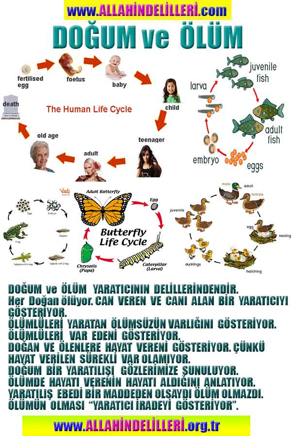 Allahın Varlığının Delilleri, Allahın Delilleri, Tanrının ispatı, Tanrının kanıtları, Allahın ispatı, Allahin delilleri