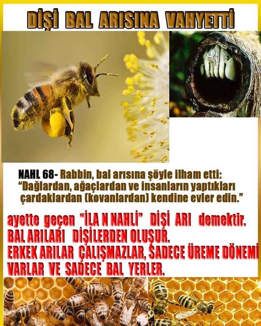 Allahın Varlığının Delilleri, Allahın Delilleri, Tanrının ispatı, Tanrının kanıtları, Allahın ispatı, Allahin delilleri