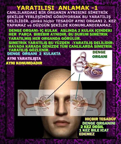 Allahın Varlığının Delilleri, Allahın Delilleri, Tanrının ispatı, Tanrının kanıtları, Allahın ispatı, Allahin delilleri