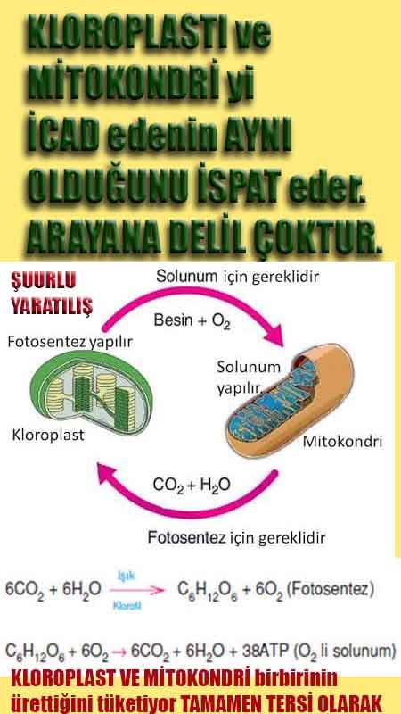 Allahın Varlığının Delilleri, Allahın Delilleri, Tanrının ispatı, Tanrının kanıtları, Allahın ispatı, Allahin delilleri