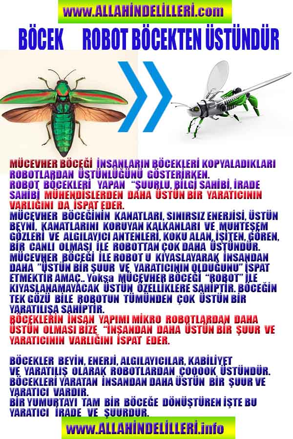 Allahın Varlığının Delilleri, Allahın Delilleri, Tanrının ispatı, Tanrının kanıtları, Allahın ispatı, Allahin delilleri