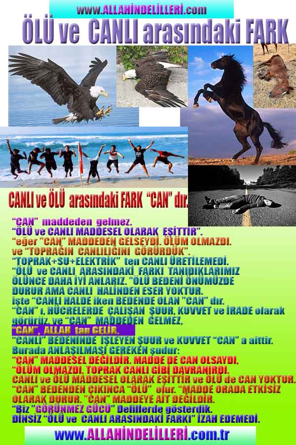 Allahın Varlığının Delilleri, Allahın Delilleri, Tanrının ispatı, Tanrının kanıtları, Allahın ispatı, Allahin delilleri